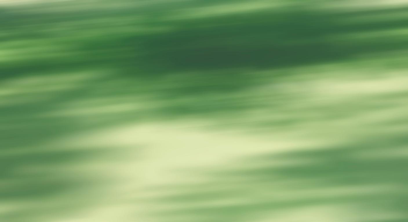 セイキューペイ